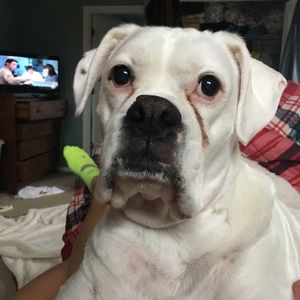 Meet your Posher, Molly